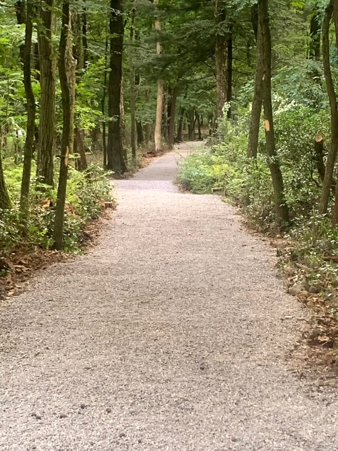 Access road built by Keystone Site & Concrete in Schuylkill County, PA